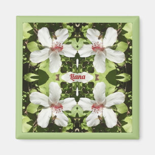 Aimant LIANA ~ EASTER ~ Fleurs d'Hibiscus blancs ~