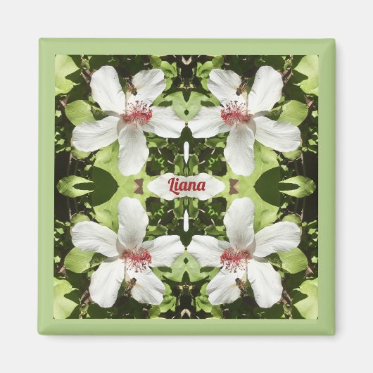 Aimant LIANA ~ EASTER ~ Fleurs d'Hibiscus blancs ~ (Devant)
