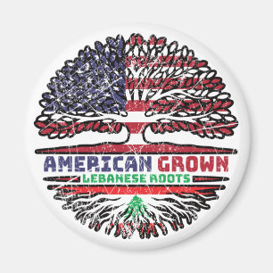 Aimant Liban Liban États-Unis États-Unis