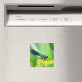 Aimant libellule (In Situ (Lave-vaisselle))
