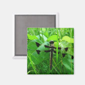 Aimant libellule (Recto/Verso)