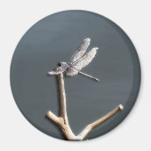 Aimant Libellule au repos (Devant)