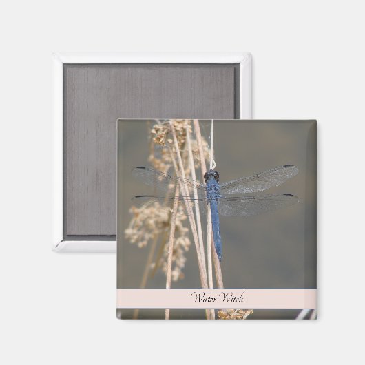 Aimant libellule bleue (Recto/Verso)