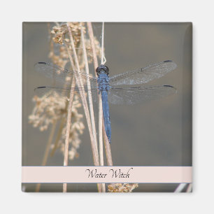 Aimant libellule bleue
