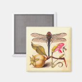 Aimant Libellule Nature Botanique Faune (Recto/Verso)