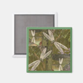 Aimant libellules (Recto/Verso)