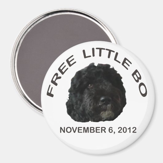 AIMANT LIBRE PETIT AMATEUR BO (Recto/Verso)