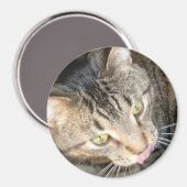 Aimant Licky Paws (Recto/Verso)