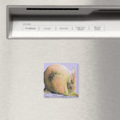 Aimant lièvre jaune (In Situ (Lave-vaisselle))