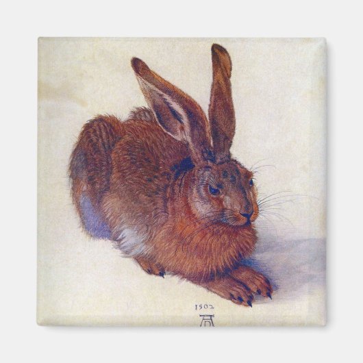Aimant Lièvre jeune par Albrecht Durer, Art Renaissance (Devant)