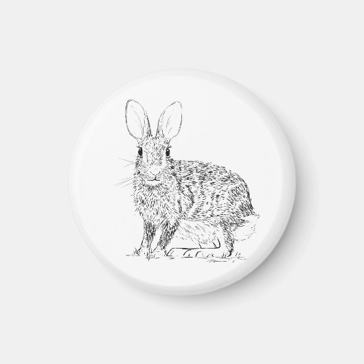 Aimant Lièvre / Lapin (Devant)