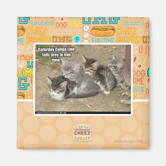 Aimant Ligne Caturday Conga (Devant)