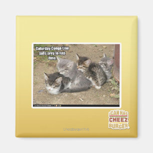 Aimant Ligne de Conga de Caturday