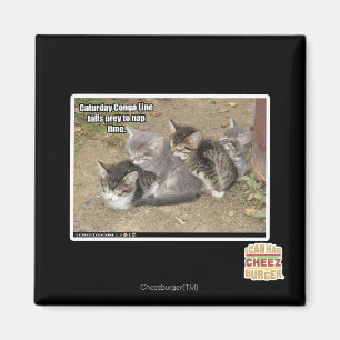 Aimant Ligne de Conga de Caturday