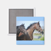 Aimant Ligne de fin de course de cheval (Recto/Verso)