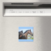 Aimant Ligne de fin de course de cheval (In Situ (Lave-vaisselle))