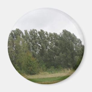 Aimant Ligne de l'aimant paysager des arbres penchés