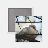 Aimant Ligne principale (Recto/Verso)