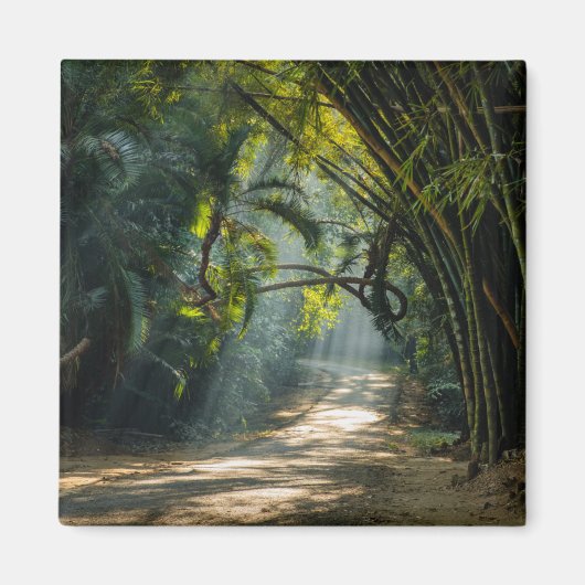 Aimant Lignes de Bambou (Devant)