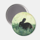 Aimant Lil Black Bunny (Recto/Verso)
