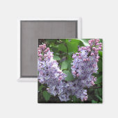 Aimant Lilas violet clair Photo (Recto/Verso)