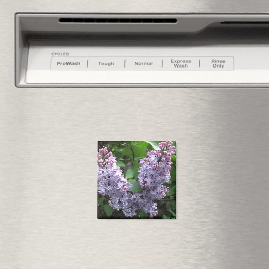 Aimant Lilas violet clair Photo (In Situ (Lave-vaisselle))