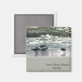 Aimant L'île Anna Maria, Floride (Recto/Verso)