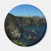 Aimant L'île d'Anacapa dans le Parc national des îles Cha (Devant)