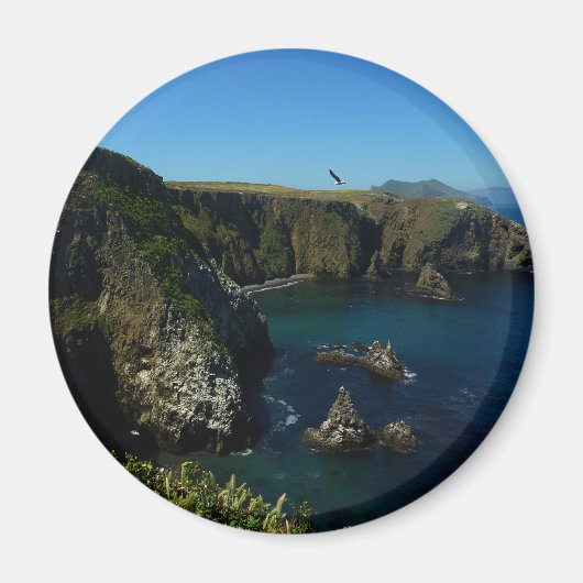 Aimant L'île d'Anacapa dans le Parc national des îles Cha (Devant)