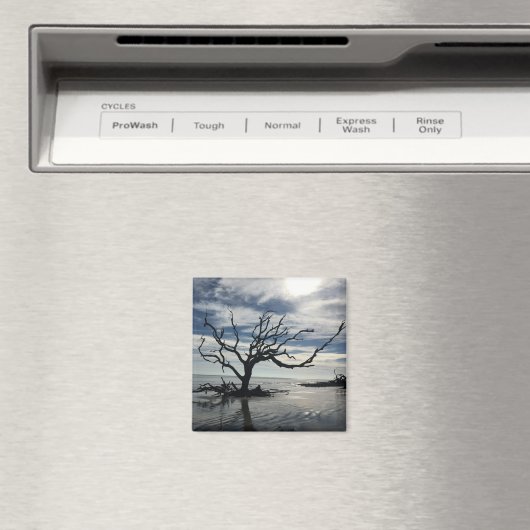 Aimant L'île de Jekyll Géorgie (In Situ (Lave-vaisselle))