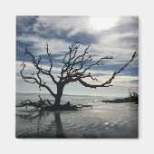 Aimant L'île de Jekyll Géorgie (Devant)