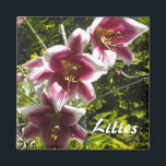 Aimant Lilies<br><div class="desc">Joli ensemble de lys roses et blancs. Un grand aimant de jardin.</div>
