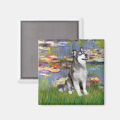 Aimant Lilies 2 - Malamute d'Alaska (Recto/Verso)