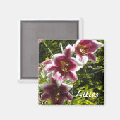 Aimant Liliums (Recto/Verso)