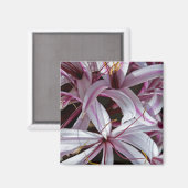 Aimant Liliums (Recto/Verso)