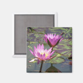 Aimant Lillypad (Recto/Verso)