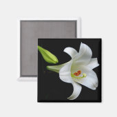Aimant Lily (Recto/Verso)