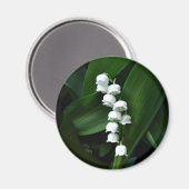 Aimant Lily de l'aimant de la vallée (Recto/Verso)