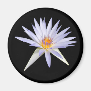 Aimant Lily d'eau