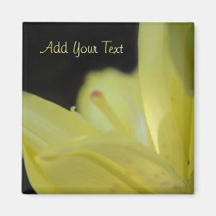 Aimant Lily jaune par Shirley Taylor