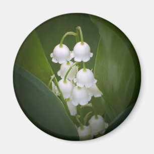 Aimant Lily-Of-The_Valley