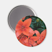 Aimant Lily orange (Recto/Verso)