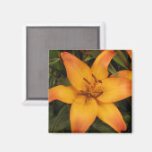 Aimant Lily orange (Recto/Verso)