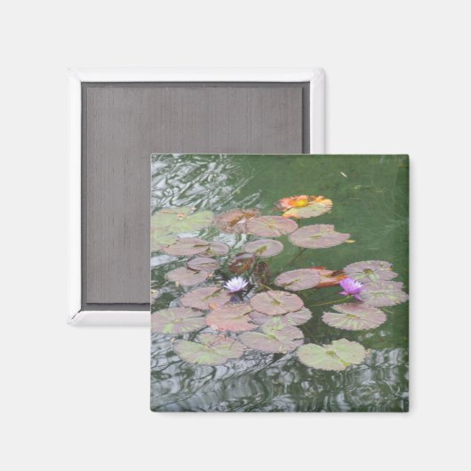 Aimant - Lily Pad (Recto/Verso)
