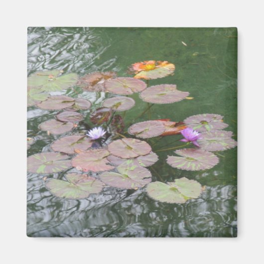 Aimant - Lily Pad (Devant)