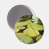 Aimant Lily Pads (Recto/Verso)