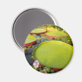 Aimant Lily Pads (Recto/Verso)