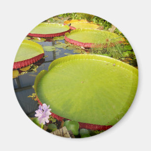 Aimant Lily Pads