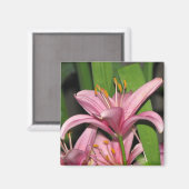 Aimant Lily rose (Recto/Verso)