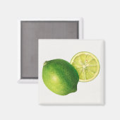 Aimant lime (Recto/Verso)